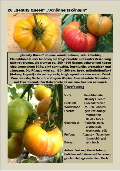 Tomatensaatgut Tomatensamen über 200 + Sorten Ernte 2023_2 in Hanhofen