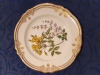 Spode Calcedoria & Sonerila Wandteller mit gelben+ rosa Blumen Duisburg - Duisburg-Mitte Vorschau