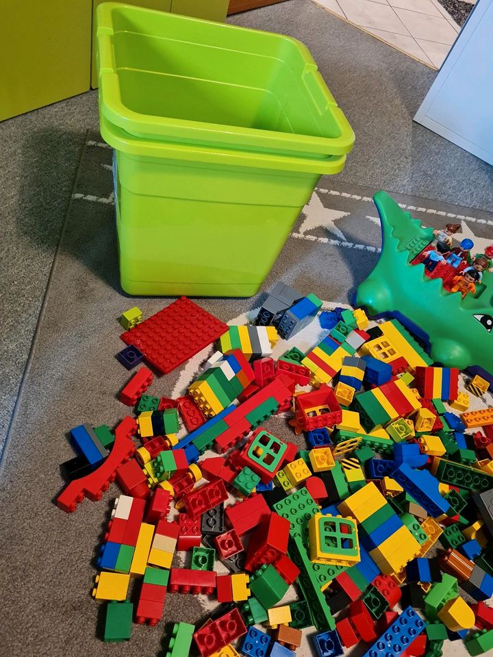 Lego Duplo gemischt Tiere Fahrzeuge usw. Handeln erlaubt:-) in Essen