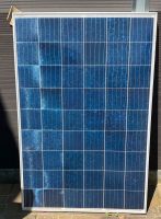 20 Stück 250 Wp Solarmodule Top Zustand Garantie Nordrhein-Westfalen - Schermbeck Vorschau