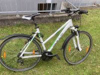 Bulls Pulsar Cross Street Damenfahrrad 28“, 54 cm, 21 Gänge Nordrhein-Westfalen - Wetter (Ruhr) Vorschau