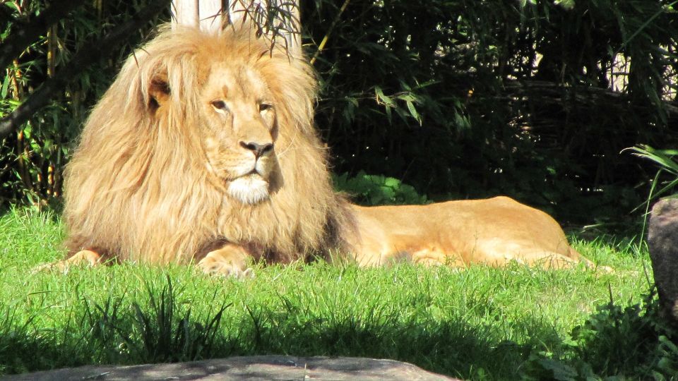 Schlüssel zum Glück ... Junge Familie aus Leipzig sucht neues Zuhause in der Gartenvorstadt Marienbrunn in Leipzig