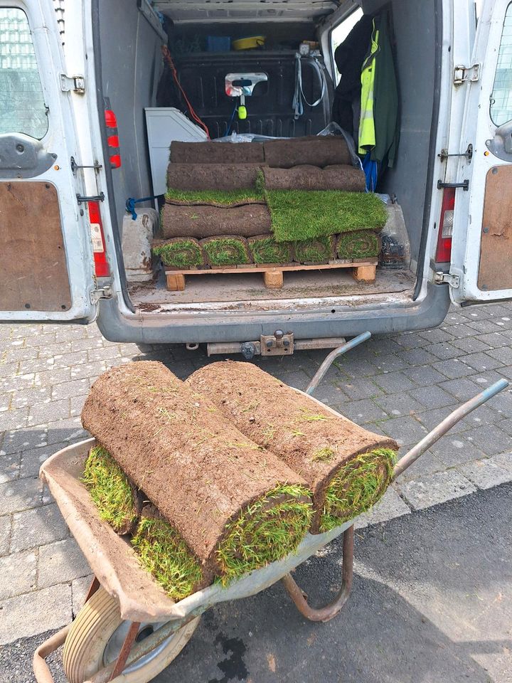 Rollrasen Verlegung vertikutieren Haushaltsauflösung in Bad Vilbel