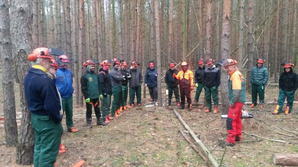 Motorsägenkurs Motorsägenschein Brennholz Gutschein in Trebbin