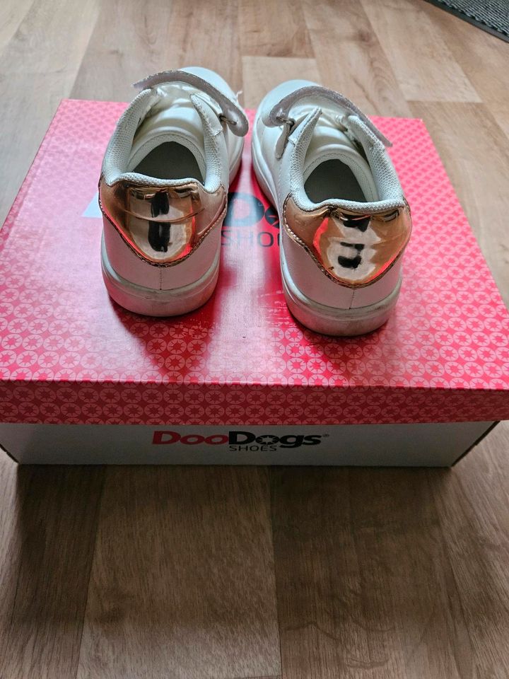 DooDogs Kinder Turnschuhe,Sneaker Gr.32 in Stralsund