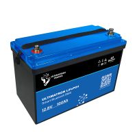 ULTIMATRON® LiFePO4 12,8V100Ah Buetooth BMS Batterie Wohnmobil Sachsen - Eilenburg Vorschau