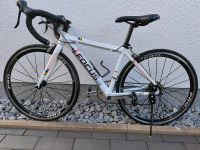 FOCUS Kinder- und Jugend-Rennrad 38cm Nordrhein-Westfalen - Minden Vorschau