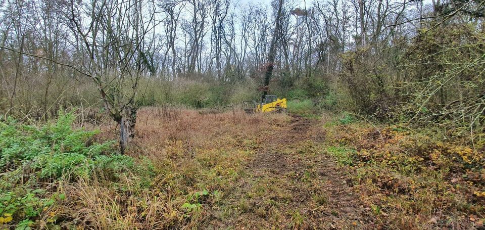 Deltalader mieten mit Forstmulcher etc in Rosdorf