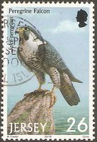 Jersey 988 ° Tiere Natur Raubvögel - Greifvögel Wanderfalke Falke Nordrhein-Westfalen - Kamen Vorschau