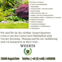 Bieten zuverlässige  Gartenpflege Gartenhilfe  freie Termine✨ Niedersachsen - Apen Vorschau