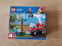 Lego city 60212 Feuerwehr beim Grillfest Schleswig-Holstein - Reinbek Vorschau