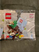 LEGO® Polybag 40400 Apfelbaum NEU & OVP - Versand inklusive Nürnberg (Mittelfr) - Großreuth b Schweinau Vorschau