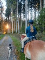 Reitunterricht im Gelände für Erwachsene Baden-Württemberg - Vogt Vorschau