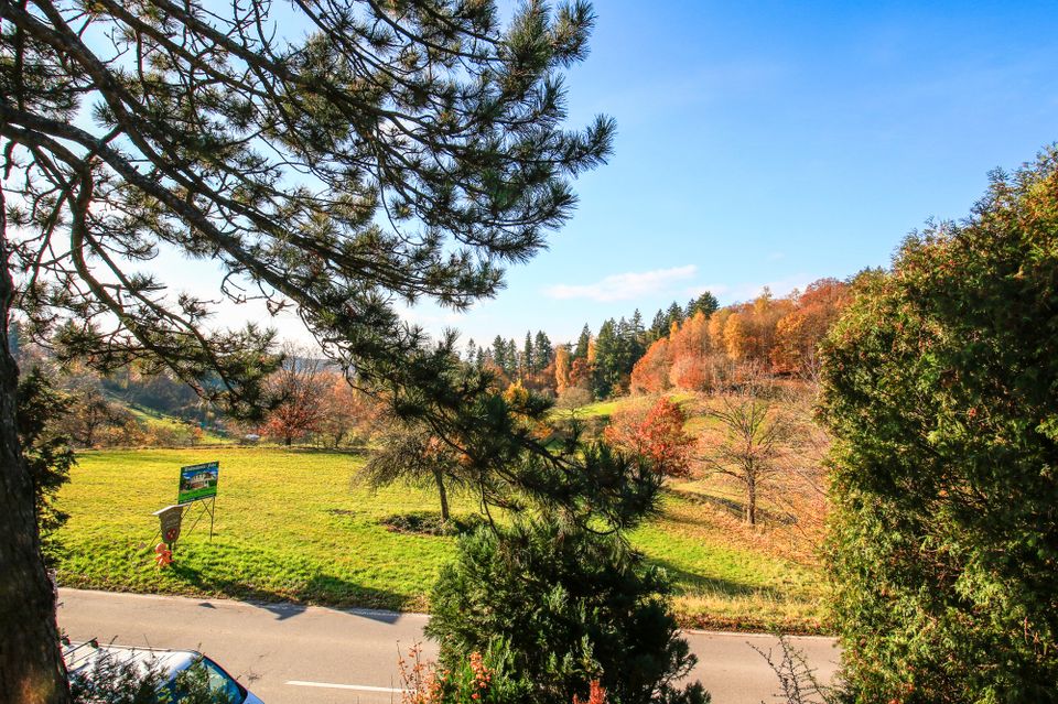 ** Leben wo andere Urlaub machen ** in Mörlenbach