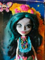 Monster High Skelita Calaveras Collector Hessen - Lahnau Vorschau