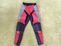 Damen Motorradhose aus Leder 34/36 Berlin - Zehlendorf Vorschau