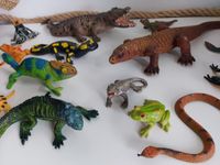 Schleich Bartagame 14675 Leguan Iguana Reptil Bullyland Echse RAR Nordrhein-Westfalen - Nettetal Vorschau