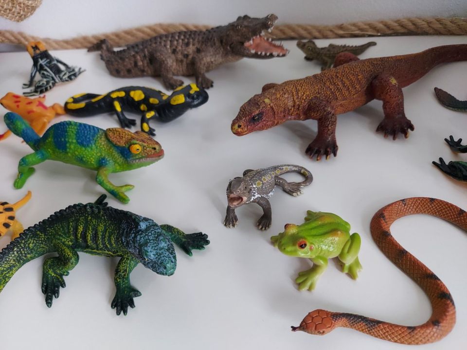 Schleich Bartagame 14675 Leguan Iguana Reptil Bullyland Echse RAR in Nettetal