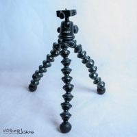 Joby Gorillapod Focus Klemmstativ (Set inkl. Kugelkopf Ballhead- Baden-Württemberg - Dußlingen Vorschau