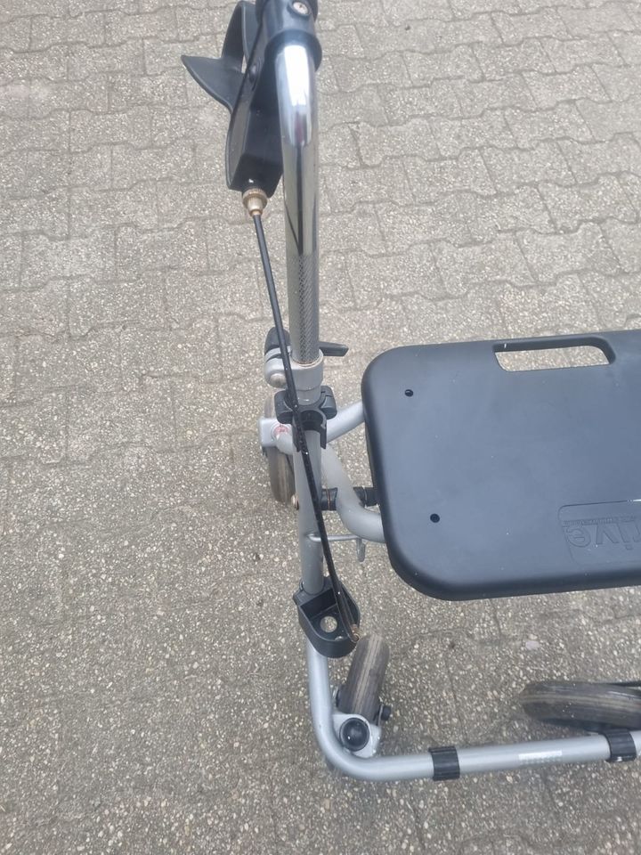 Drive Rollator (alte Gehhilfe für Erwachsene) in Herne