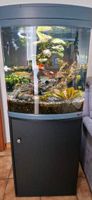 SERA Aquarium Biotop LED Cube 130 XXL Nordrhein-Westfalen - Geilenkirchen Vorschau