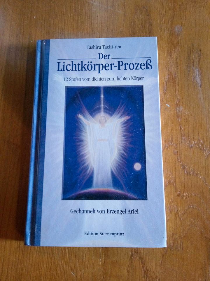 Tashira Tachi-ren - Der Lichtkörper Prozeß in Dessau-Roßlau