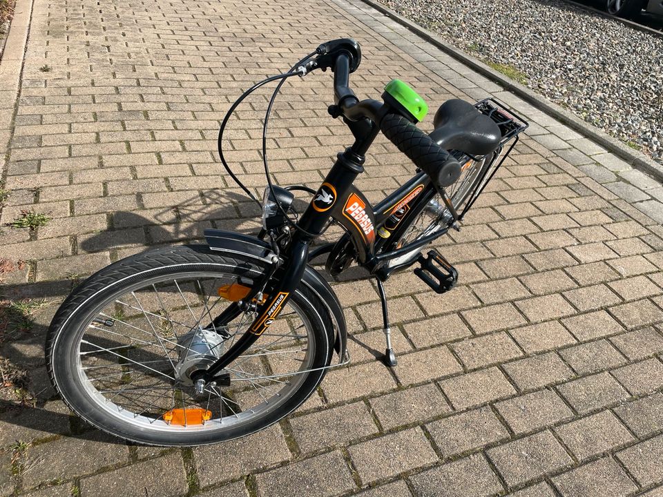 Kinderfahrrad 20 Zoll Pegasus in Halberstadt