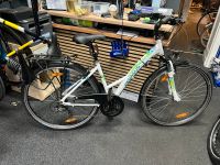 Pegasus Piazza 28’Zoll Damen Fahrrad Friedrichshain-Kreuzberg - Kreuzberg Vorschau