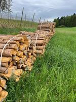 Fichten brennholz gebündelt Bayern - Schweitenkirchen Vorschau