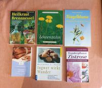 6 Bücher ein Preis! Heilwirkung Zimt Ingwer Zistrose Ringelblume Baden-Württemberg - Baden-Baden Vorschau
