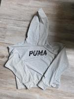 Puma Pullover Bayern - Lautertal Vorschau
