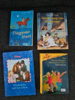 ❤️ diverse Kinder Bücher u.a. Pferde ❤️ Schleswig-Holstein - Trittau Vorschau