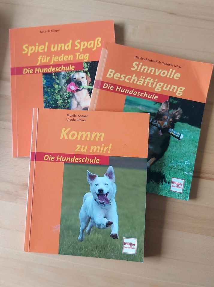 Die Hundeschule in Weil am Rhein