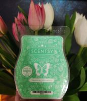 Scentsy Bar Bayern - Hohenburg Vorschau