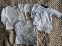 3x Baby Shirt Sweatshirt Langarmshirt Gr.62 Unisex Jungen Mädchen Brandenburg - Zehdenick Vorschau
