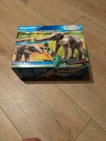 Playmobil Family Fun Elefant mit Baby Wandsbek - Hamburg Hummelsbüttel  Vorschau
