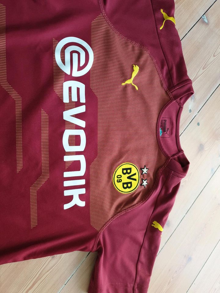 PUMA BVB  TRIKOT   REUS in Limburg