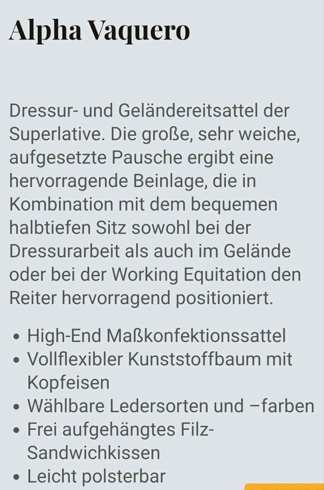 Working Equitation, Dressur, Wanderreiten, Gelände in Hanstedt