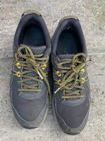 ASICS Sneaker, Joggingschuhe, Trail Scout, Gr. 39, 5 Ramersdorf-Perlach - Ramersdorf Vorschau