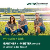 Gärtner / -Meister (m/w/d) in Voll- oder Teilzeit Düsseldorf - Bilk Vorschau