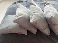 4 Sofa Kissen Kreis Pinneberg - Halstenbek Vorschau