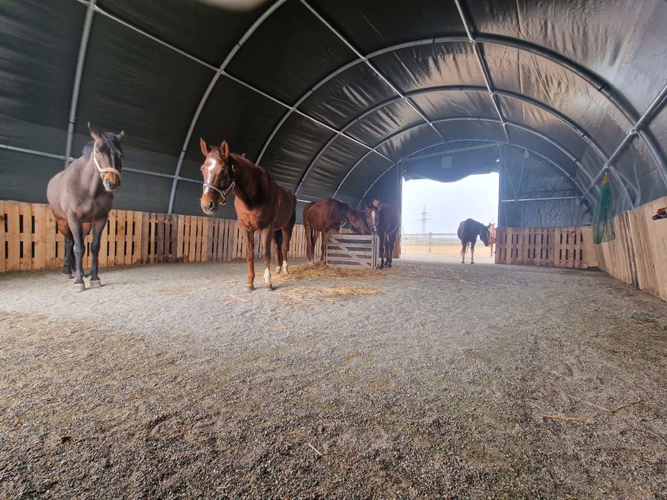 WEIDEZELT - Landwirtschaftliche Lagerlösung - Tiergehege Tierstall Reithalle Nutztierhaltung Viehzucht Lagerzelt Depot Fahrzeughalle Unterstand Garage Carport Überdachung Schutz Zeltlager Statik neu in Hamburg