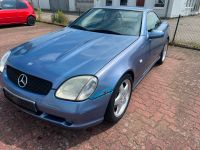 Mercedes Benz SLK 200 Designo AMG Paket Bastlerfahrzeug Schleswig-Holstein - Neumünster Vorschau