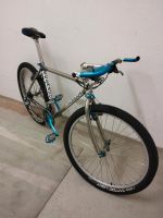 Colnago Fake, Jumpro Evolution MTB Retro Kult Stahlrahmen Dresden - Kleinzschachwitz Vorschau