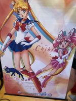 Anime Sailor moon Wandbild Niedersachsen - Schortens Vorschau