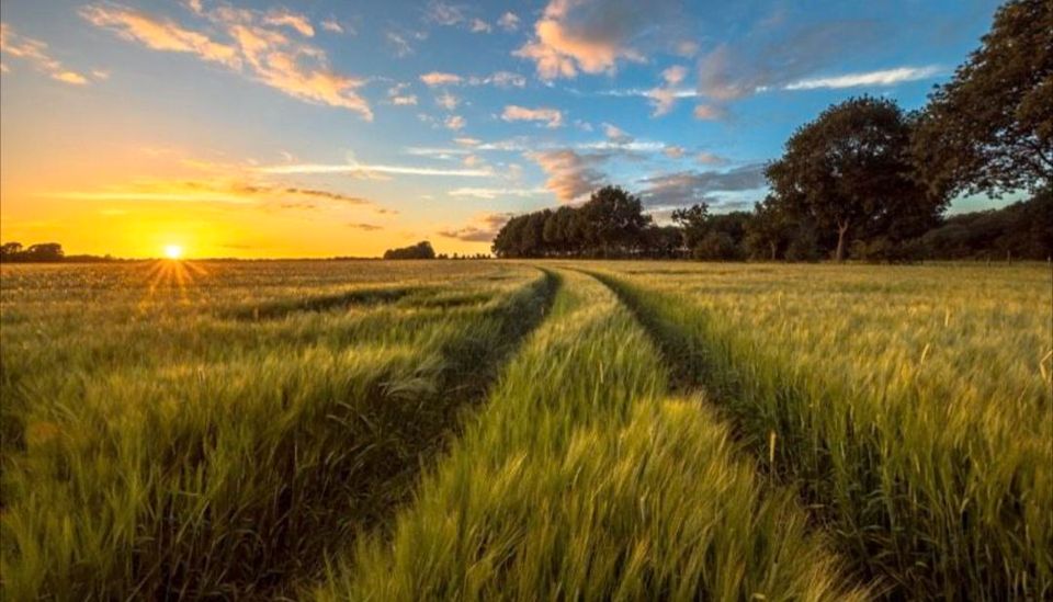 Ackerland zu verkaufen in Deiningen