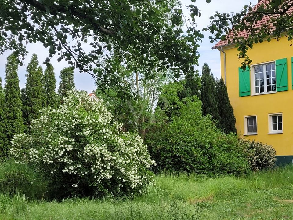 Ehemaliges Rittergut in der Altmark in Altmärkische Wische