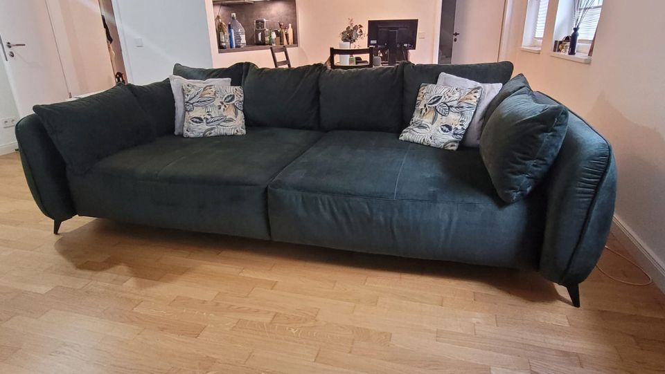 Porta Grün Sofa in Düsseldorf