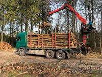 Stammholz, Kaminholz ,Brennholz Buche,Roteiche Sachsen - Thalheim/Erzgebirge Vorschau