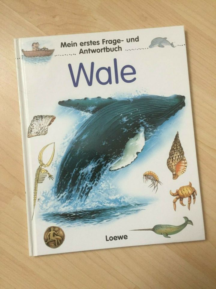 Mein erstes Frage- und Antwortbuch, Wale - Kindersachbuch in Bremen